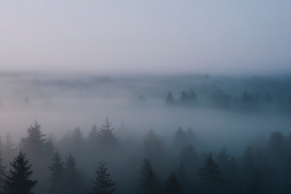 When Joy Goes Missing